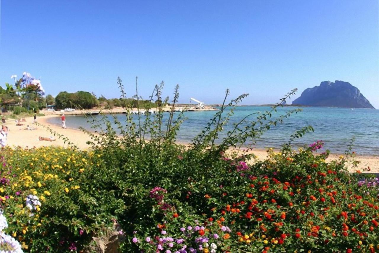 Baia De Bahas - Apartments & Resort Marinella  Eksteriør billede